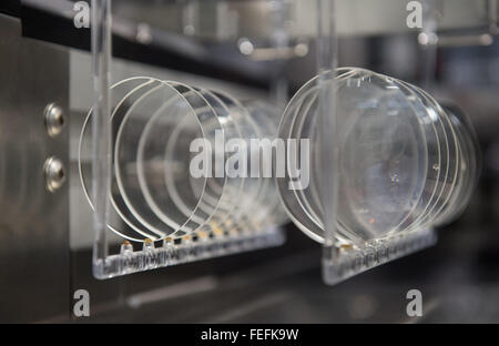 Aalen, Germania. 05 feb 2016. Vetro per essere ricoperte di Carl Zeiss AG la produzione di occhiali a Aalen, Germania, 05 febbraio 2016. Foto: Marijan Murat/dpa/Alamy Live News Foto Stock