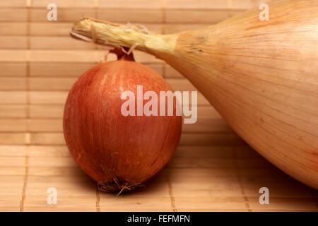 Una gigantesca vincita di cipolla e una cipolla piccola Foto Stock