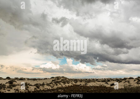 Dune parzialmente coperto con naturalmente la stabilizzazione di arbusti, con cielo tempestoso overhead a White Sands National Monument in Tula Foto Stock