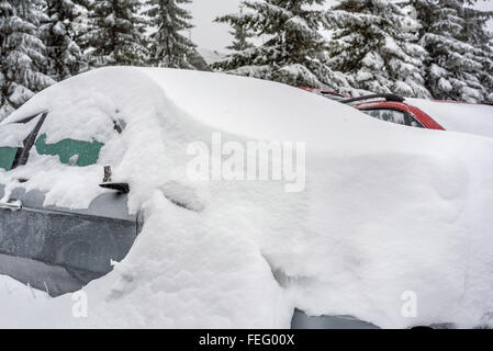 Auto coperti di neve in inverno Foto Stock