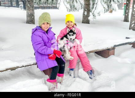 Bambine giocando con cani Husky sulla neve Foto Stock