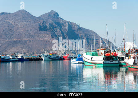 Barche da pesca in porto, Hout Bay, Cape Peninsula, Città del Capo comune, Provincia del Capo Occidentale, Sud Africa Foto Stock