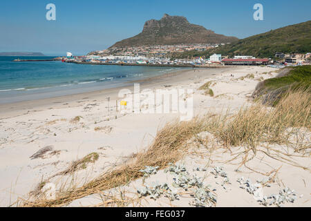 Hout Bay Beach, Hout Bay, Cape Peninsula, Città del Capo comune, Provincia del Capo Occidentale, Sud Africa Foto Stock