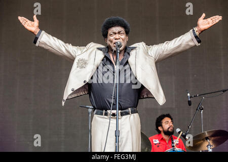 Charles Bradley performing live nell'estate del 2015 in un outdoor festival di musica Foto Stock