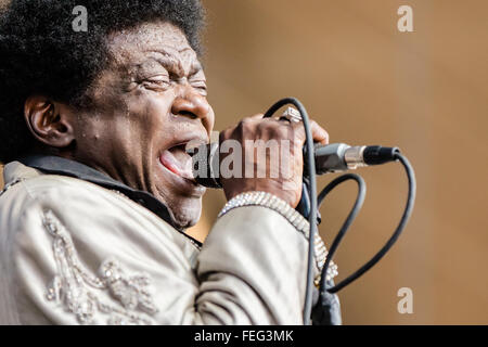 Charles Bradley performing live nell'estate del 2015 in un outdoor festival di musica Foto Stock