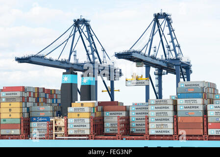 Maersk Line nave container Container al porto di Felixstowe, Essex, Inghilterra, Regno Unito Foto Stock