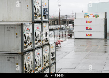 I contenitori di spedizione con la Dole Food Company, Inc. Il logo presso un impianto di spedizione a San Diego, la California il 31 gennaio 2016. Foto Stock