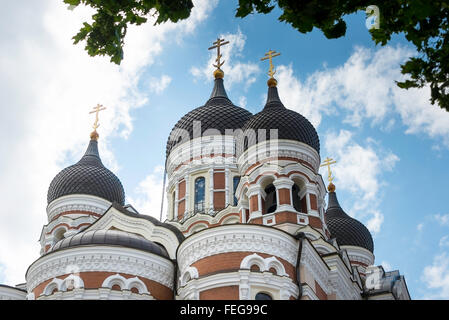 Cattedrale di Alexander Nevski, Toompea Hill, la Città Vecchia di Tallinn, Harju County, della Repubblica di Estonia Foto Stock