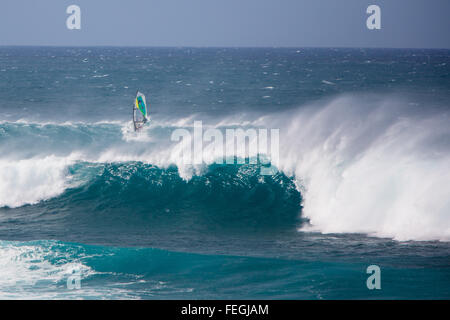 Un windsurf Cavalca le onde nella parte anteriore del Hoʻokipa beach sull'isola di Maui, Hawaii (USA) Foto Stock