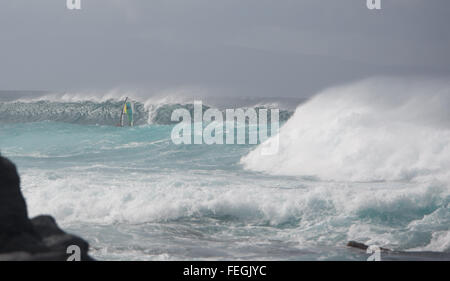 Un windsurf Cavalca le onde nella parte anteriore del Hoʻokipa beach sull'isola di Maui, Hawaii (USA) Foto Stock