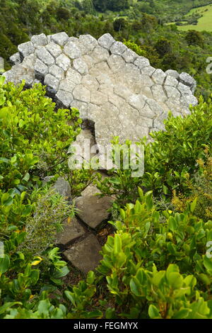 L'organo a canne a Mount Cargill, Dunedin, Nuova Zelanda. Queste colonne poligonali sono un residuo di attività vulcanica dell'area. Foto Stock