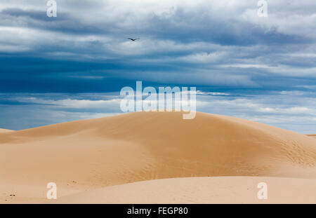 Pareti della Cina lunetta mobile e le dune di sabbia lungo il bordo del lago Mungo Mungo Parco Nazionale del Nuovo Galles del Sud Australia. Foto Stock