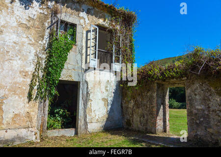 Grande casa di paese abbandonato in rovine con vegetazione Foto Stock