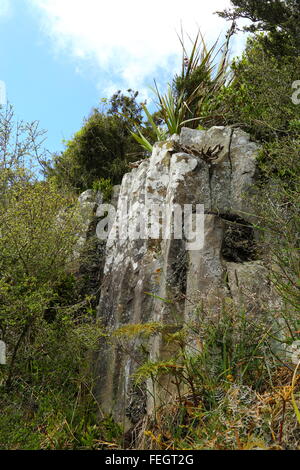 L'organo a canne a Mount Cargill, Dunedin, Nuova Zelanda. Queste colonne poligonali sono un residuo di attività vulcanica dell'area. Foto Stock