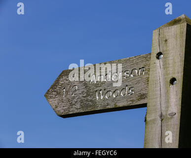 Segno per Anderson Hazelhead boschi parco nella città di Aberdeen, Scozia, Regno Unito Foto Stock