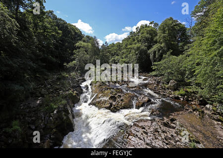 Le Cascate di Feugh, Aberdeenshire, Scozia, Regno Unito, dove si può vedere la deposizione delle uova di salmone upriver saltando Foto Stock