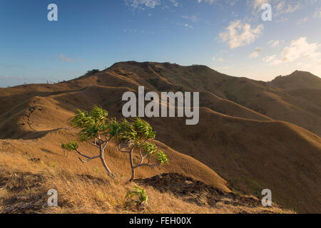 Nacula Island, Yasawa Islands, Isole Figi Foto Stock