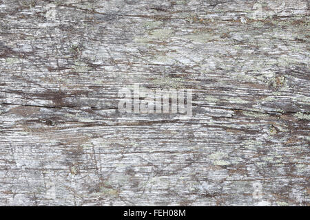 Età naturale grigia sullo sfondo di legno Foto Stock