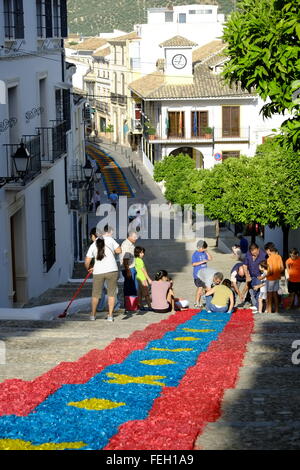 Corpus Christi. Abitanti del villaggio che posano tappeti tradizionali di segatura colorata sulla loro strada il Giovedì Santo. Carcabuey, Andalusia, Spagna Foto Stock
