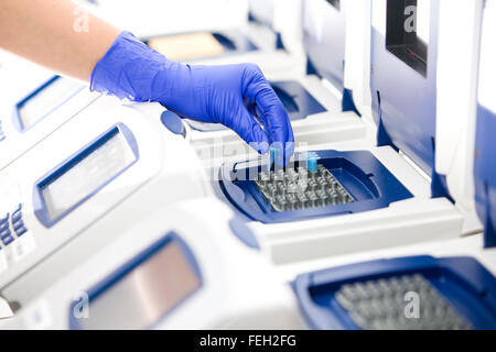 Scienziato con la copia del DNA, la PCR in tempo reale cycler, ampia Foto Stock