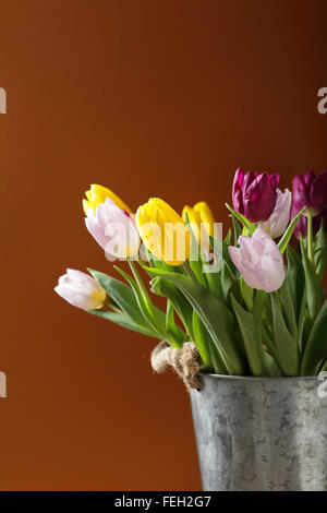 Colore fresco tulipani nel secchio, fiori Foto Stock