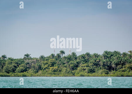 Antenne per telefonia mobile tra le foreste tropicali delle isole Bijagos, Guinea Bissau Foto Stock