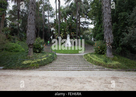 Il giardino botanico dell'università (Jardim Botanico) a Lisbona, Portogallo Foto Stock