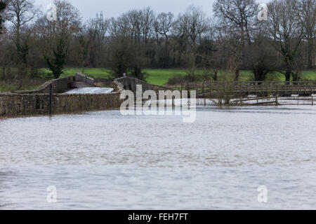 Lacock Abbey, Lacock, Wiltshire, Regno Unito. 7 febbraio 2016. Inondazioni in profondità su terreni agricoli e i vicoli intorno allo storico proprietà del National Trust, Lacock Abbey cause difficili condizioni di guida per gli automobilisti. L'inarrestabile heavy rain negli ultimi 12 ore ha provocato il fiume Avon a raffica si tratta di banche di inondazione del paese road. Credito: Wayne Farrell/Alamy Live News Foto Stock