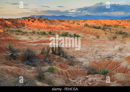 Grandi cactus nel deserto rosso, tatacoa desert, Colombia, America latina, Nuvole e sabbia, sabbia rossa nel deserto Foto Stock