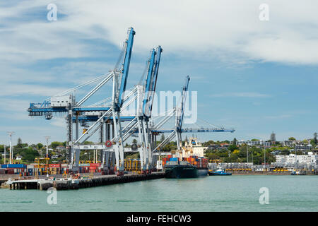 AUCKLAND, NUOVA ZELANDA - 8 Novembre 2015: nave da carico e il contenitore di gru su Fergusson Wharf a porti di Auckland. Foto Stock