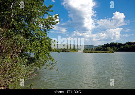 Fiume Tevere, Riserva Naturale Regionale Nazzano, Tevere-Farfa Lazio, Italia Foto Stock