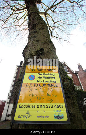 Un segno su un albero in Nether Edge, Sheffield avvisa il pubblico che la manutenzione della struttura è prevista per il 8 febbraio 2016 Foto Stock