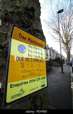 Un segno su un albero in Nether Edge, Sheffield avvisa il pubblico che la manutenzione della struttura è prevista per il 8 febbraio 2016 Foto Stock