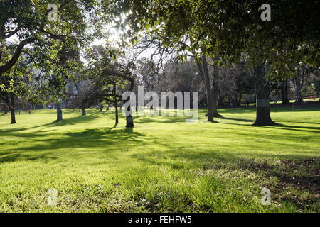 Giardini del tesoro, a est di Melbourne, Victoria Foto Stock