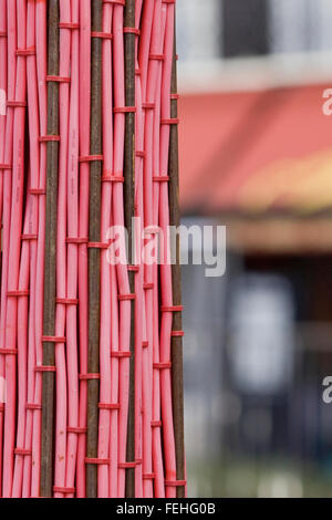 Outdoor fili elettrici attaccato a un albero per un display luminoso Foto Stock