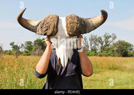 Buffalo cranio (Syncerus caffer) nell'Okavango Delta, Moremi Game Reserve, Botswana Africa Foto Stock