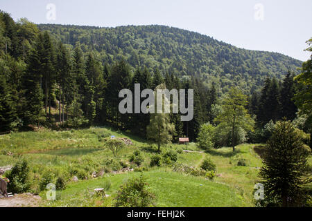 Vista sulle montagne vicino a Belfort, Francia. Foto Stock