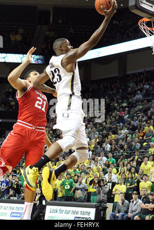 Febbraio 7, 2016: Oregon Ducks avanti Elgin Cook (23) rende un layup intorno a Utah Utes avanti Giordania Loveridge (21) durante il NCAA gioco di basket a Matt Knight Arena, Eugene, o Foto Stock