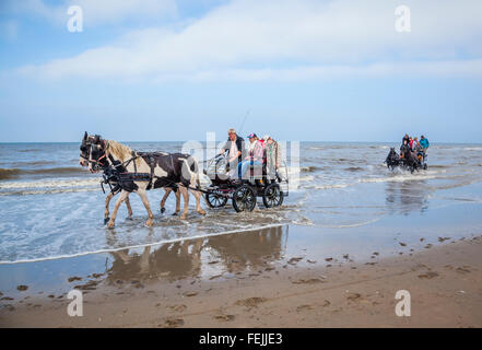 Paesi Bassi, South Holland, Noordwijk, divertente cavallo-drwan gite in carrozza nel surf di Langevelderslag Beach Foto Stock