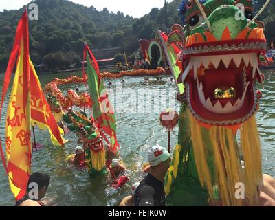 Foshan, la Cina della provincia di Guangdong. 8 febbraio, 2016. Un drago acquatico e la danza del leone si è svolta durante il Festival di Primavera di celebrazioni a Nanhai distretto di Foshan, Cina del sud della provincia di Guangdong, Febbraio 8, 2016. Credito: Zhuang Jin/Xinhua/Alamy Live News Foto Stock