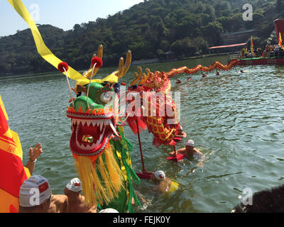 Foshan, la Cina della provincia di Guangdong. 8 febbraio, 2016. Un drago acquatico e la danza del leone si è svolta durante il Festival di Primavera di celebrazioni a Nanhai distretto di Foshan, Cina del sud della provincia di Guangdong, Febbraio 8, 2016. Credito: Zhuang Jin/Xinhua/Alamy Live News Foto Stock