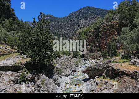 Creta, scenario in Samaria gulch, piccolo ruscello Foto Stock