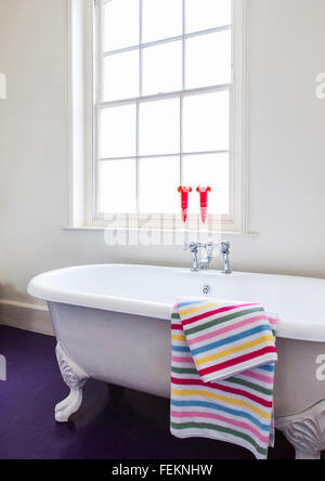 La casa di Londra di Victoria Whitbread co-proprietario di W2 Products Ltd che segnatamente distribuire il pantone gamma dei regali foto Foto Stock