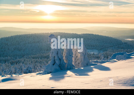 Paesaggio invernale a Brocken, Parco Nazionale di Harz, Germania Foto Stock