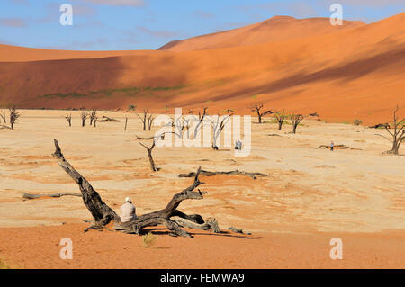 Scheletri di albero a Deadvlei vicino al Sossusvlei, Namibia Foto Stock