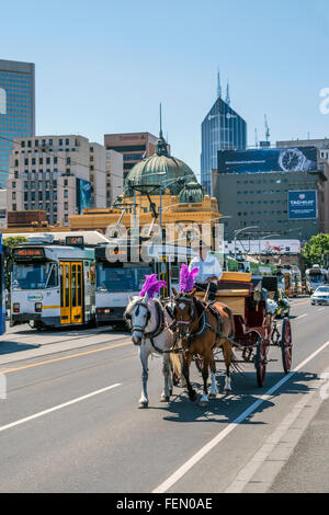 Carrozza a cavalli visitatore Tour, Melbourne, Australia Foto Stock