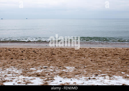 La regione di Kaliningrad. Mar Baltico. Costa. Inverno e neve sulla sabbia. Foto Stock