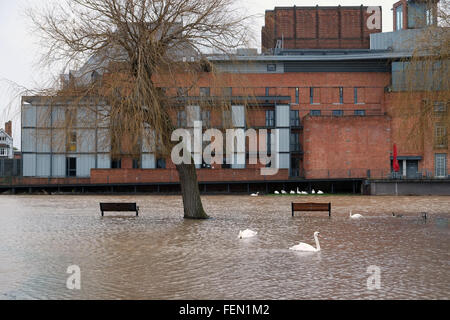 Stratford-upon-Avon, Warwickshire, Regno Unito. 8 febbraio 2016. Vista generale di allagamento di fronte al Royal Shakespeare Theatre di Stratford-upon-Avon, come il fiume Avon continua a salire dopo piogge weekend pioggia. Credito: Andrew Lockie/Alamy Live News Foto Stock