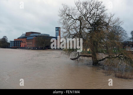 Stratford-upon-Avon, Warwickshire, Regno Unito. 8 febbraio 2016. Vista generale delle inondazioni nei pressi del Teatro di RSC a Stratford-upon-Avon, come il fiume Avon continua a salire dopo piogge weekend pioggia. Credito: Andrew Lockie/Alamy Live News Foto Stock