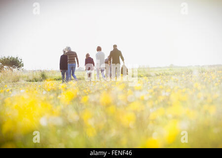 Multi-generazione famiglia passeggiate nel prato soleggiato con fiori di campo Foto Stock